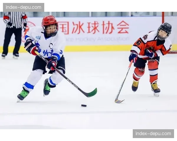 专栏:评估PWHL首个赛季的商业表现与对女子冰球运动的推动 专栏:评估PWHL首个赛季的商业表现与对女子冰球运动的推动